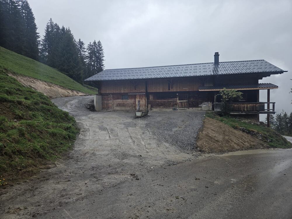 Vorplatz- und Wegsanierung