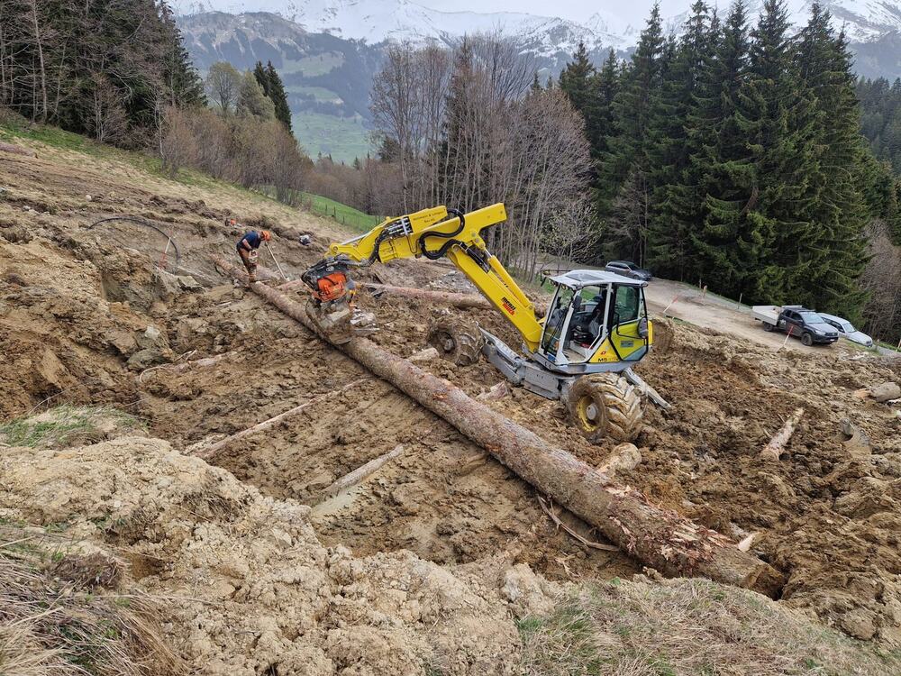 Stämme für den Holzkasten